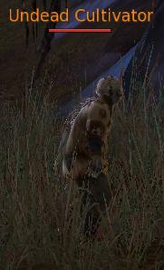 Undead Cultivator